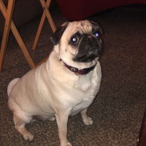 Meet your Posher, Chance